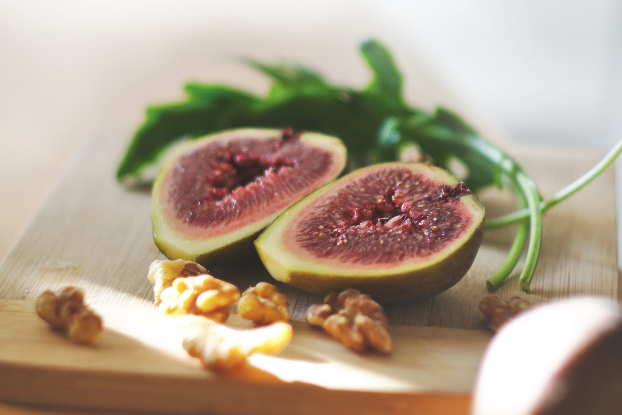 tejidovivo alimentacion